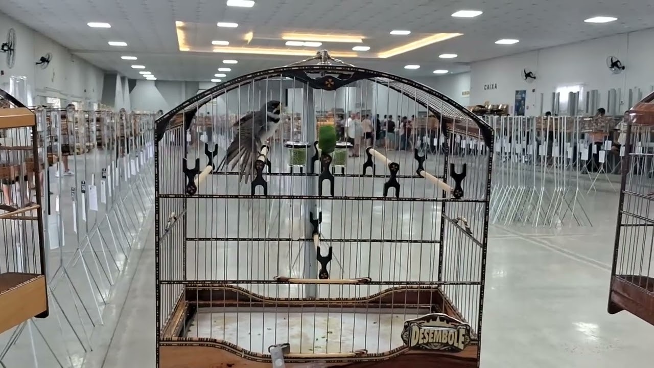 Torneio na  itaipava