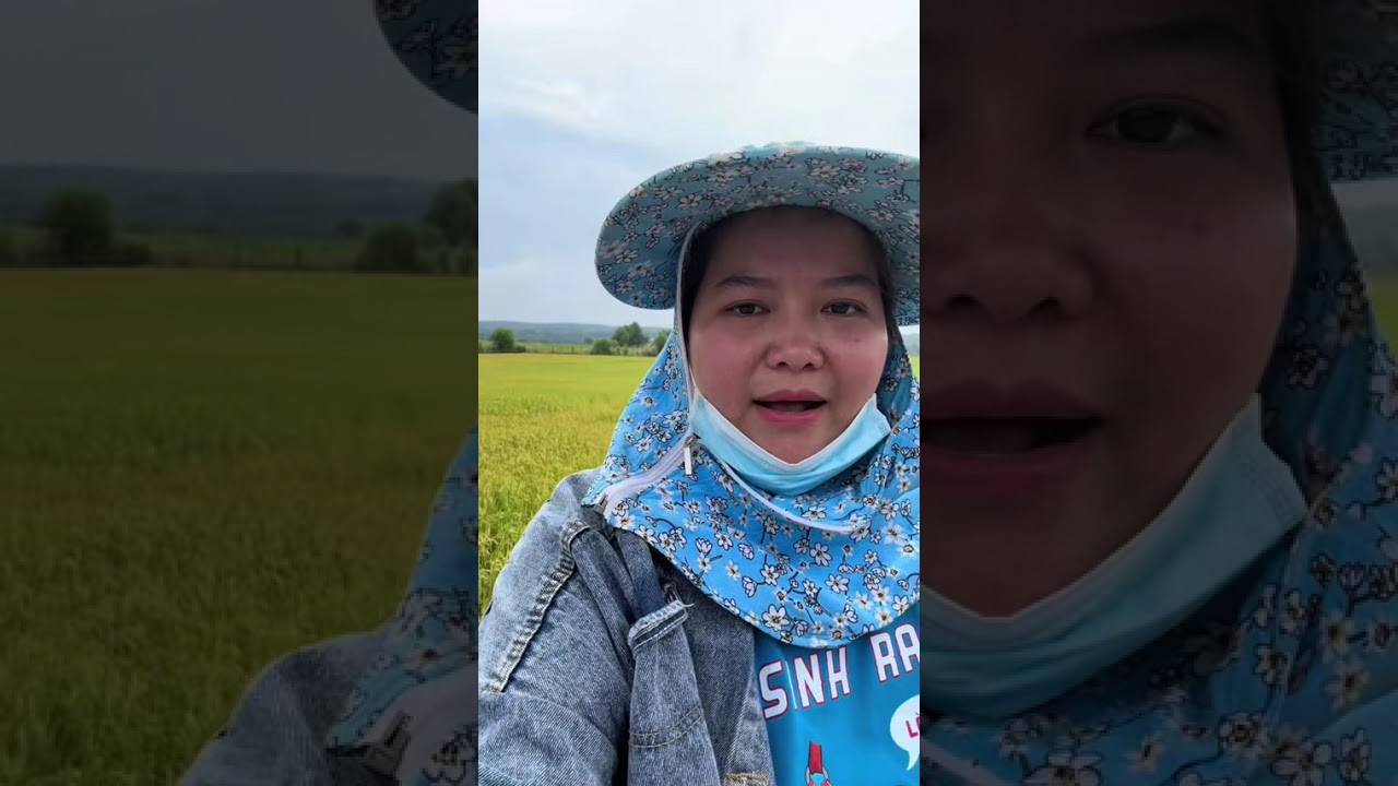 ngày 6 tháng 3, 2026