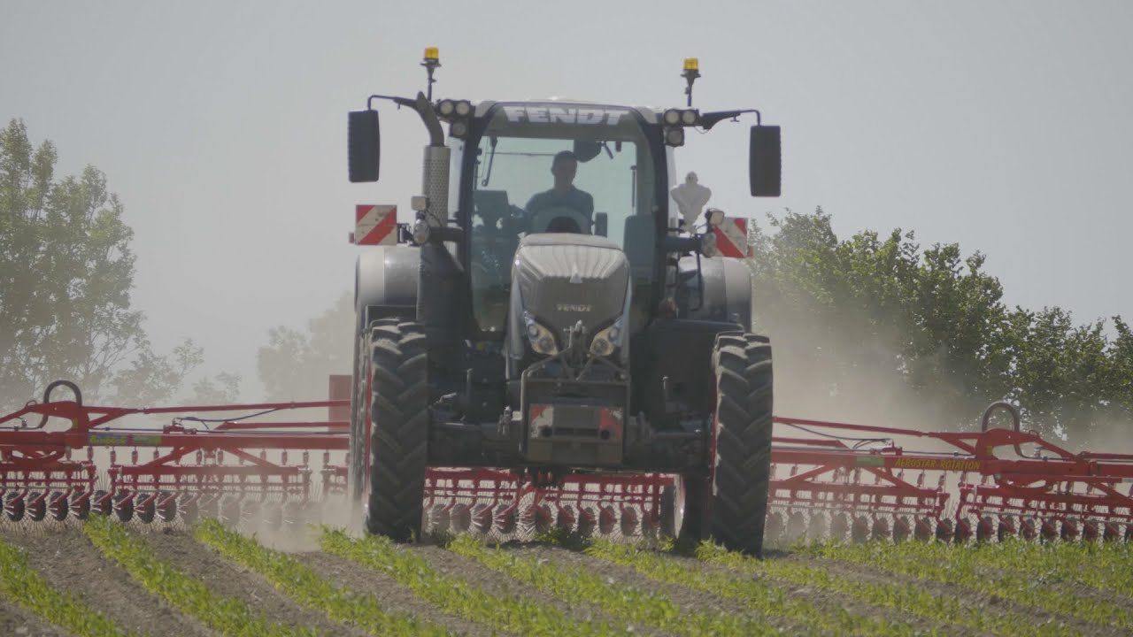 ROTATIVE weeder | Roto-étrille 12m Einböck à l’ETA JAMES 🇫🇷
