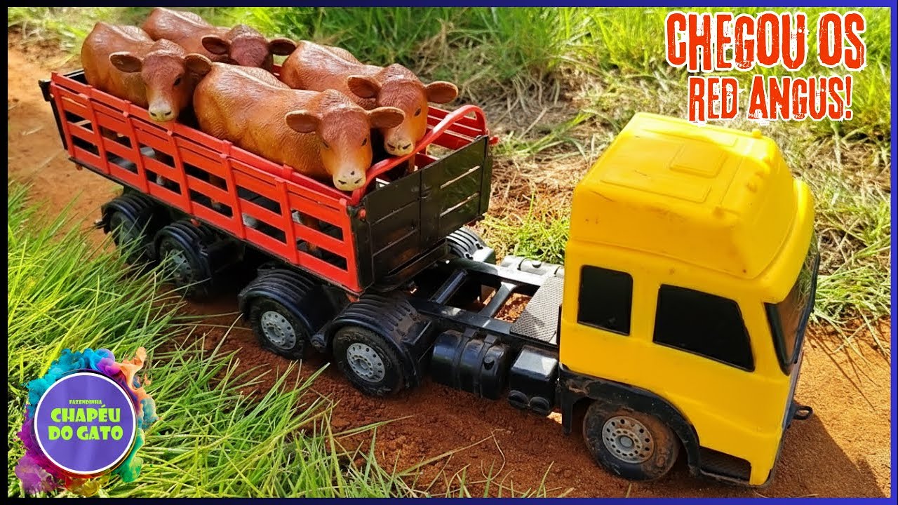 Chegou os Red Angus no Caminhão Boiadeiro e a Onça Apareceu do Nada