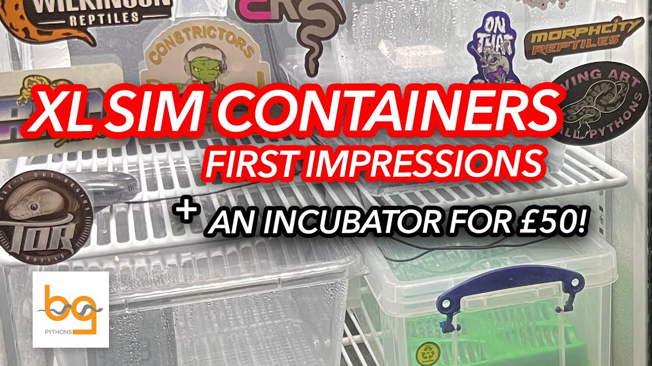 XL Sim container for snake eggs and reptile incubator cooler conversion for under £50