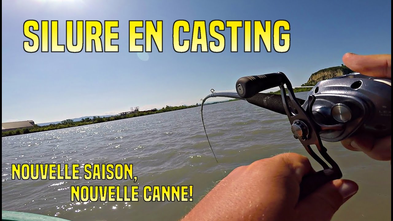 Silure en casting, que la saison commence!