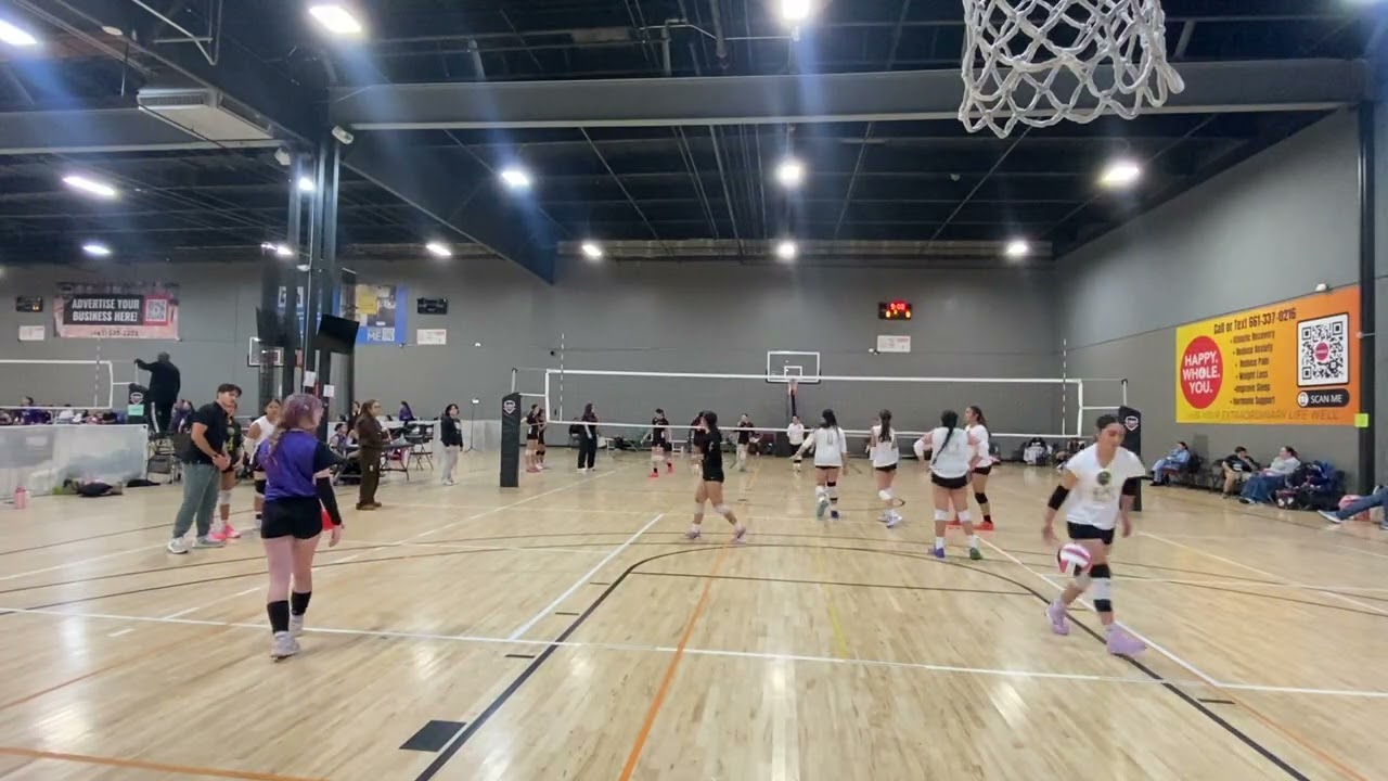 TVM VS STARLINGS