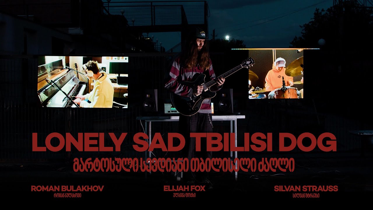 LONELY SAD TBILISI DOG - Roman Bulakhov (ft. Elijah Fox, ft. Silvan Strauss)