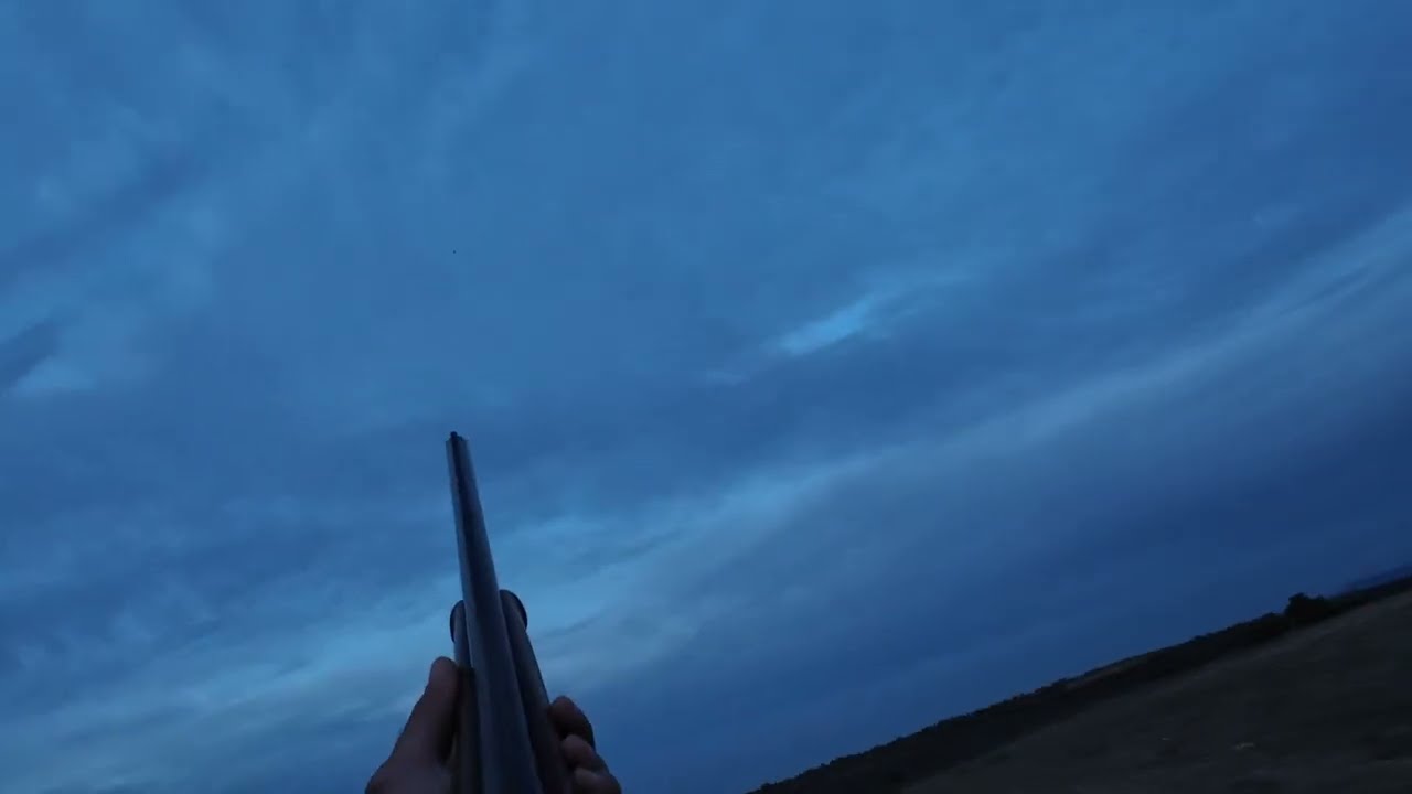 Κυνήγι Τσίχλας στη Κύπρο 2026(Thrush Hunting in Cyprus 2026)