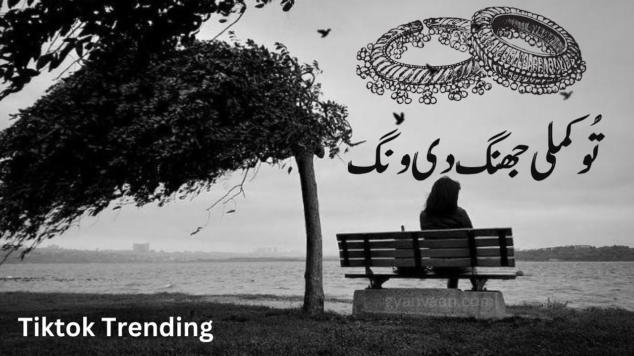 Tu Kamli Jhang di Wang Mangdi | Tiktok Trending  | Slow and Reverb Song