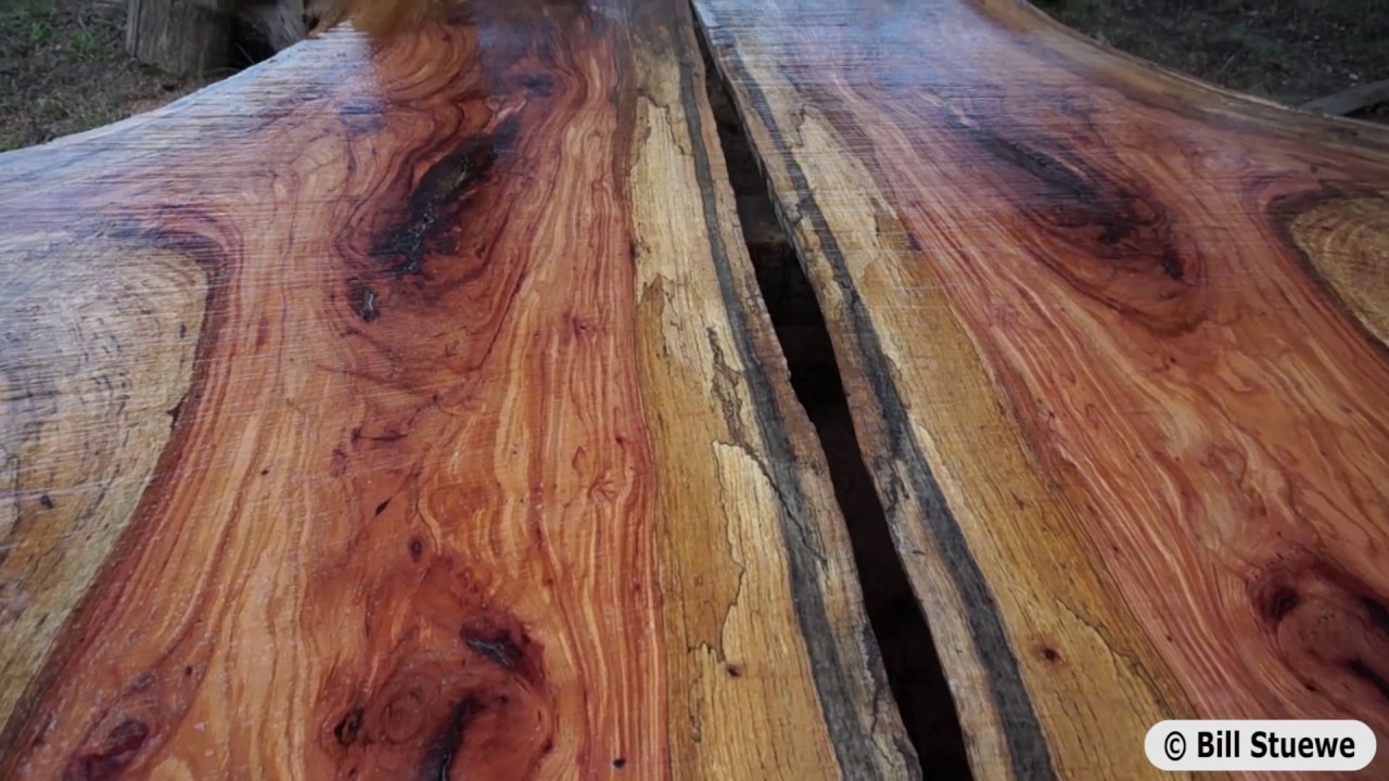 Austin Sawmill Live Edge Natural Wood Slabs