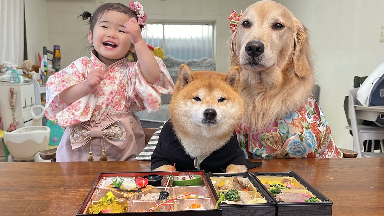 2026年の幕開けも気持ちの良い食いっぷりを見せてくれる豆柴とゴールデンレトリバーと1歳児