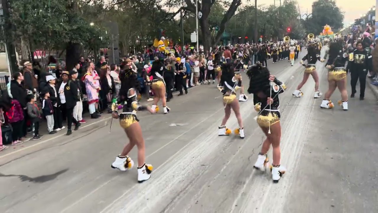 The Alluring McMain Majorettes - Proteus 2026