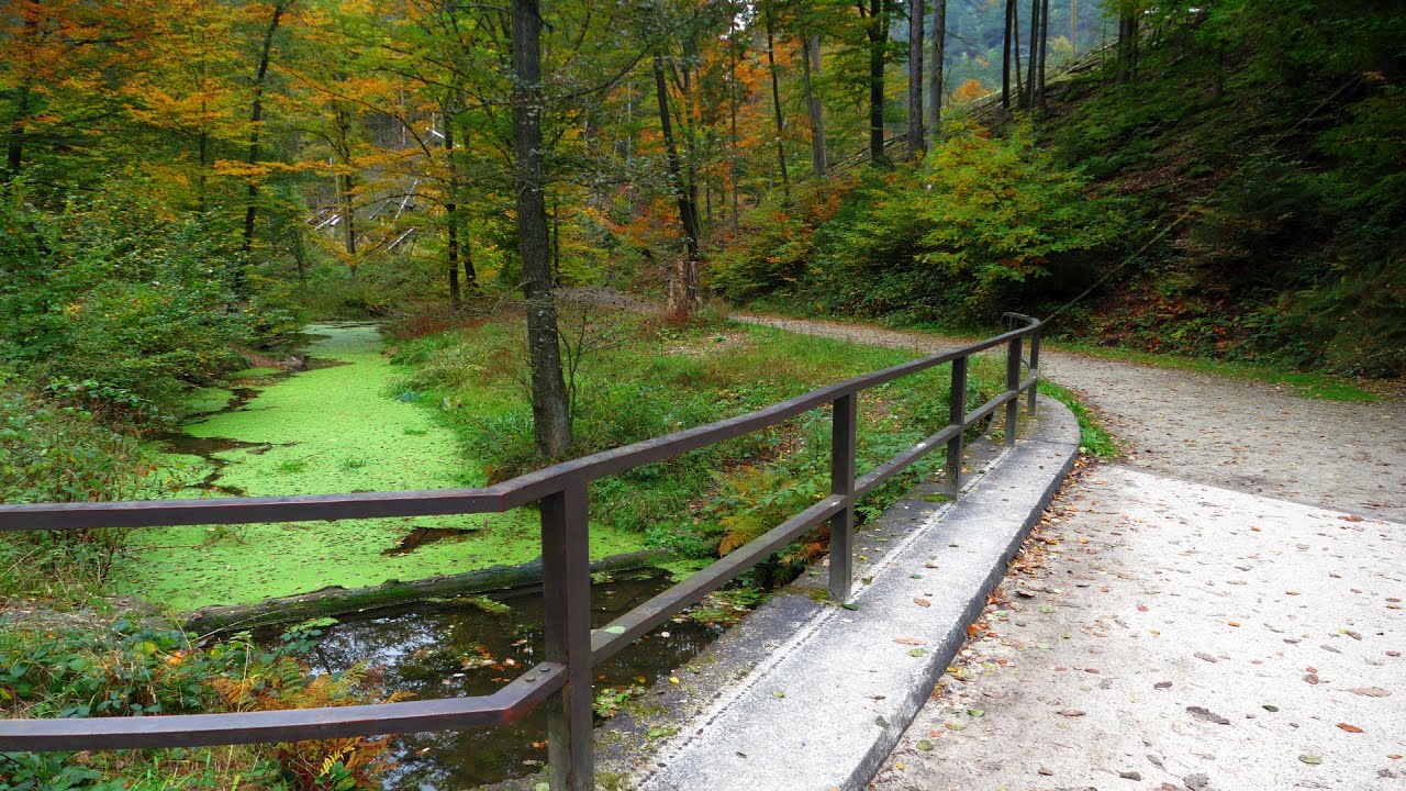 Szwedzkie Dziury, Jezioro Kosa (Die Schwedenlöcher, Der Amselsee), Saksonia Szwajcarka (4K)
