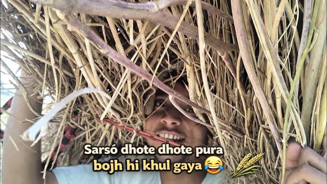 Sarso madhane aaye tracter malik so gaya😴😴😂