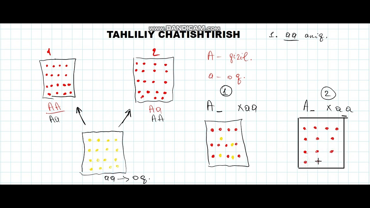TAHLILIY CHATISHTIRISH