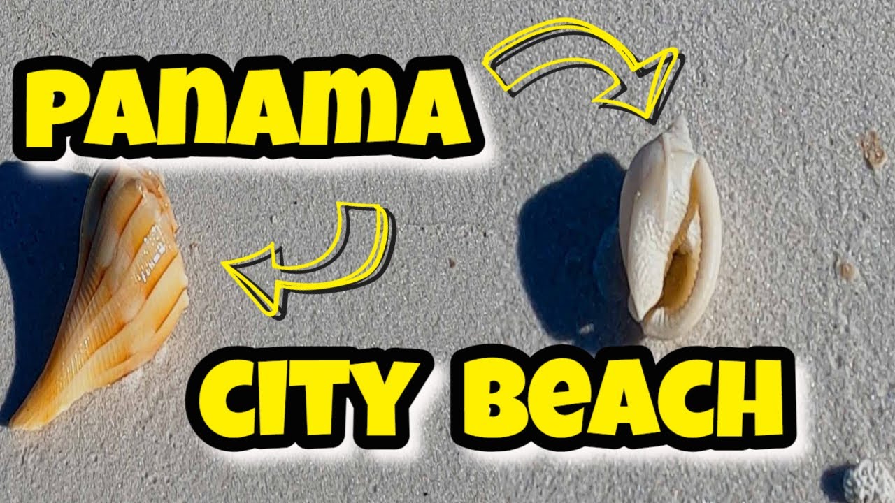 AWESOME SHELLING Caught On Camera: Panama City Beach SHELLING