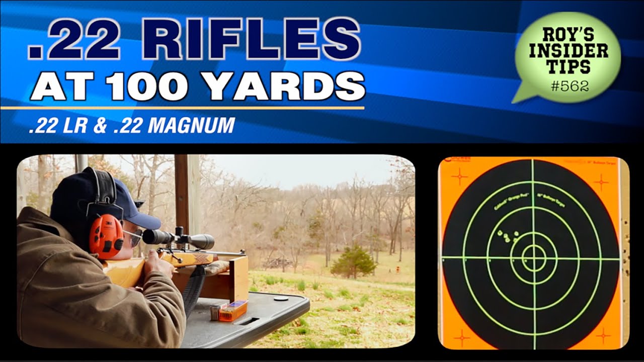 .22 Rifles At 100 Yards