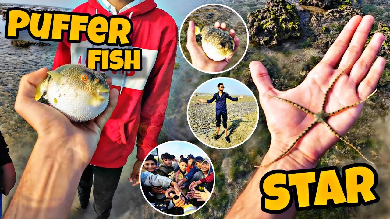 Narara Tapu Jamnagar | Morning Ride MotoVlog | Marine National Park Gujarat