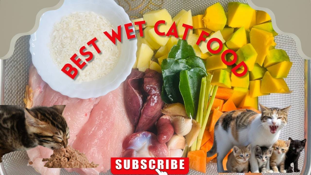 Watch..! how I make my cat food...100% Eat.. #cat #food  #catfoodwet  #wetfood #kittensfood #moev