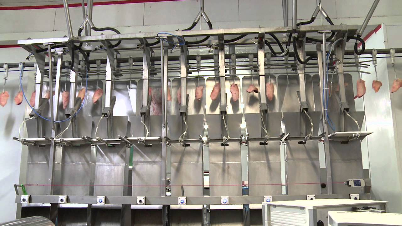 Calibreuse aérienne, CALIBRA LA (volaille) -#agroalimentaire