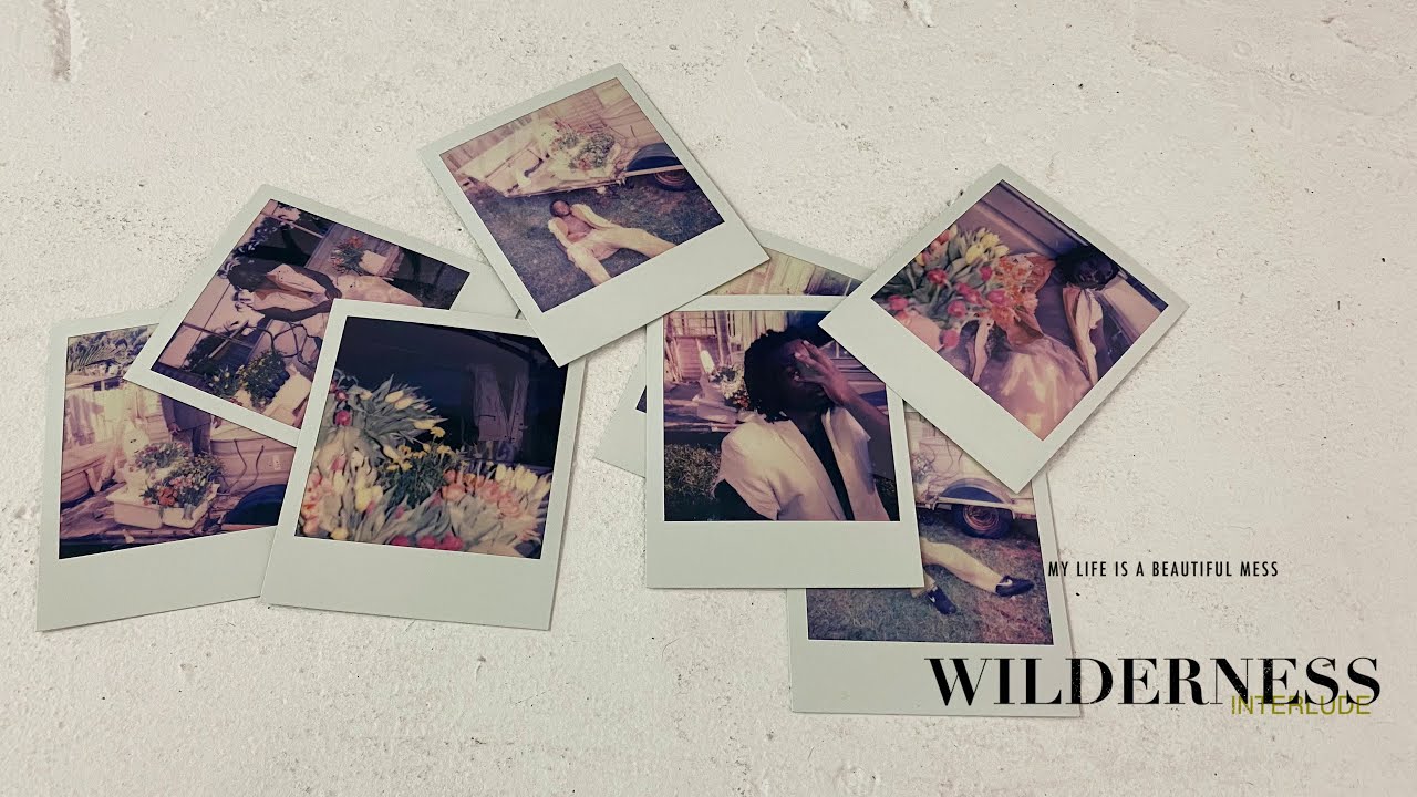 Aklesso - Wilderness Interlude | My Life Is A Beautiful Mess