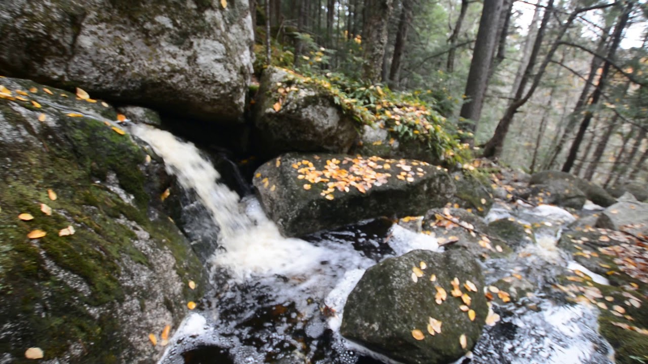 Gibraltar Trail Fall, Meagher's Grant, Nova Scotia