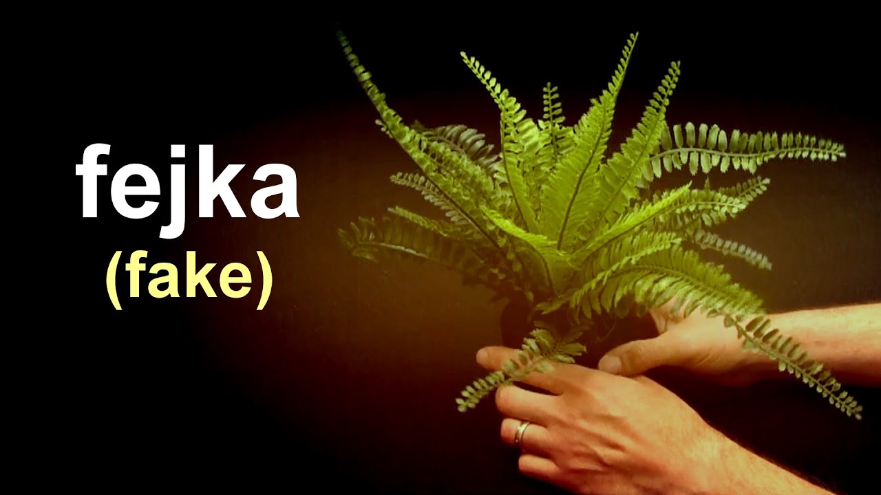 Fejka (