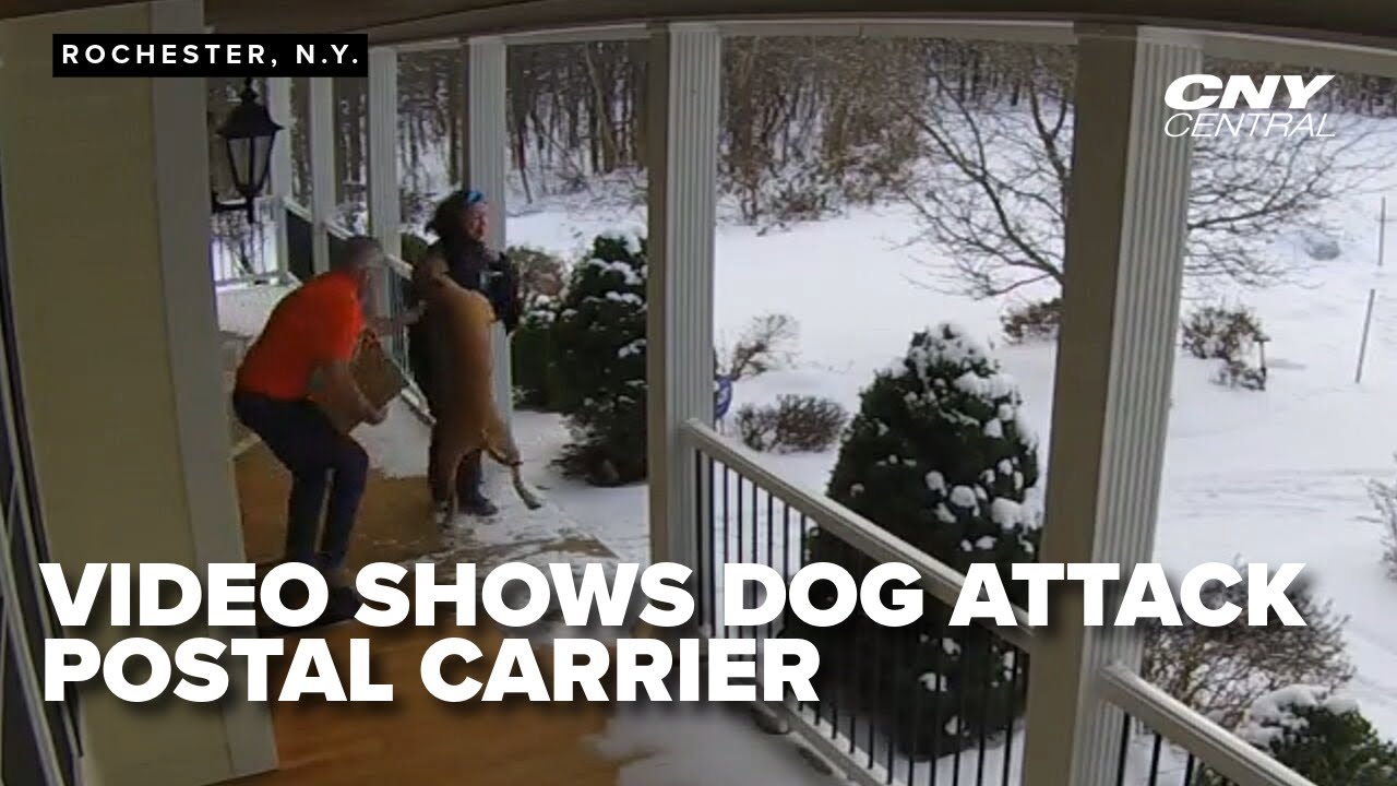 After dog attack, former postal worker wins fight for greater protections, consequences