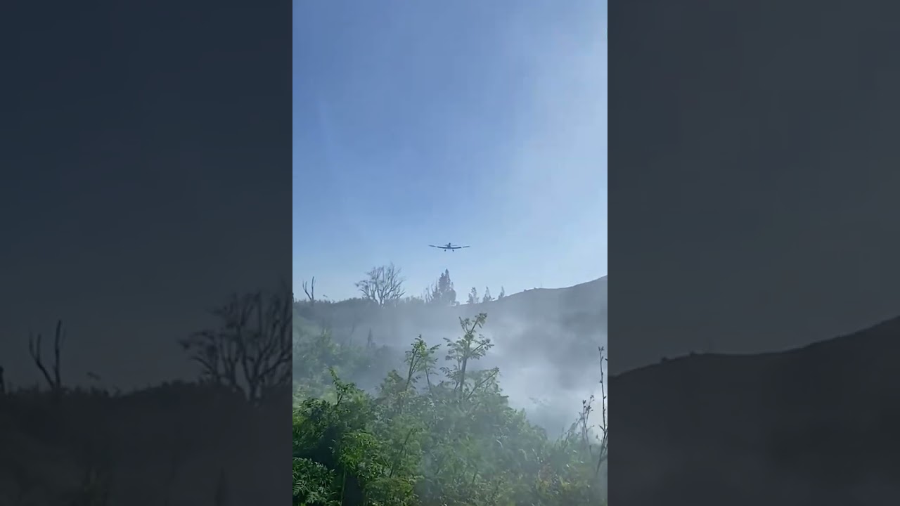 Single engine air tanker drops on wildfire. #wildfire #aviation