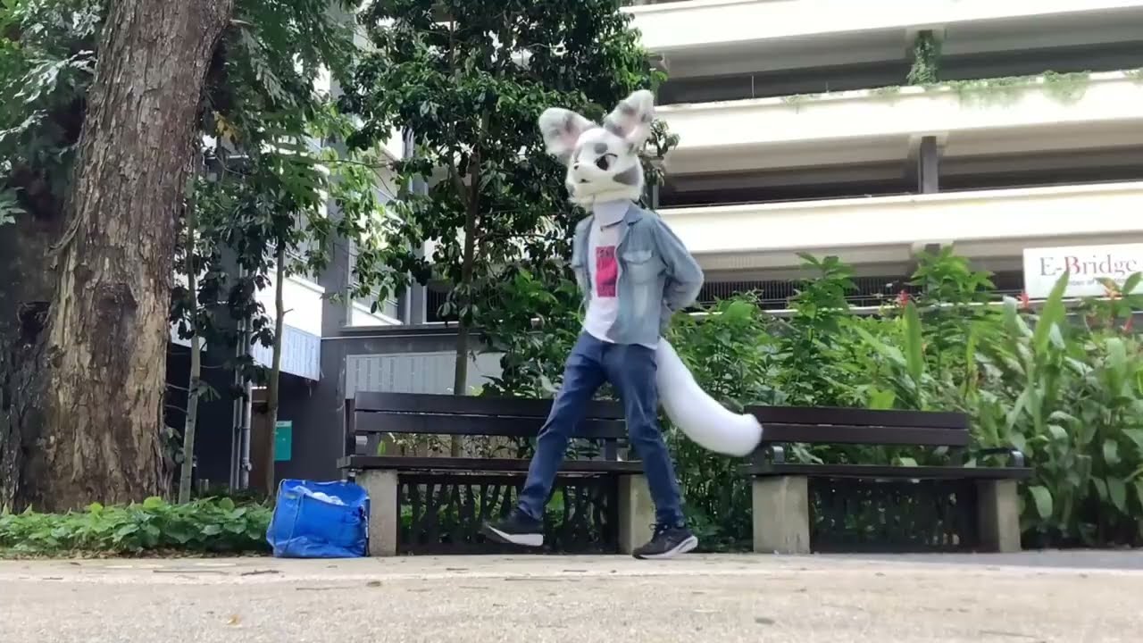 【Fursuit Dance】 Glooby/Willy - Kenny Loggins 