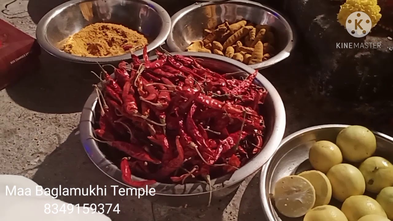 Baglamukhi Havan Pujan लाल मिर्च रात्रिकालीन हवन  माँ बगलामुखी ☎️ 8349159374