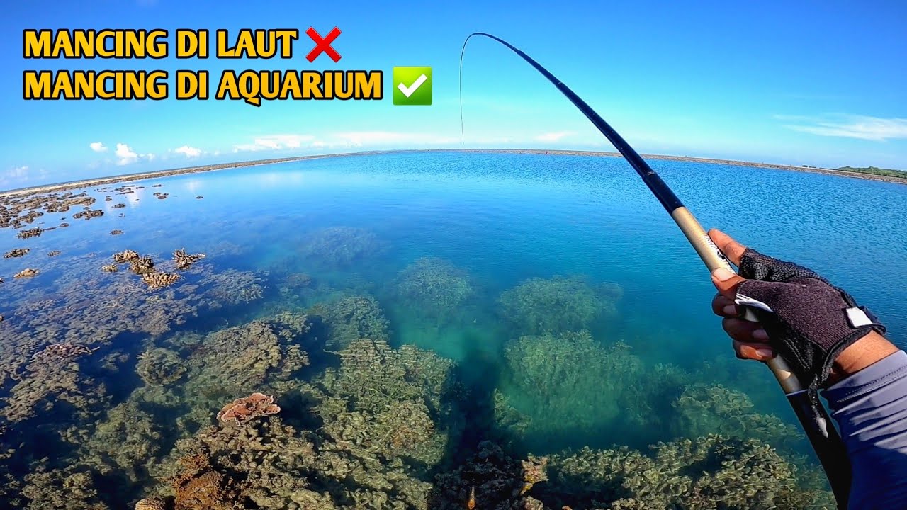 SPOT NYA JERNIH BANGET 😍 JADI BETAH MANCING DISINI !!! NGOYOR MANIA MANTAP