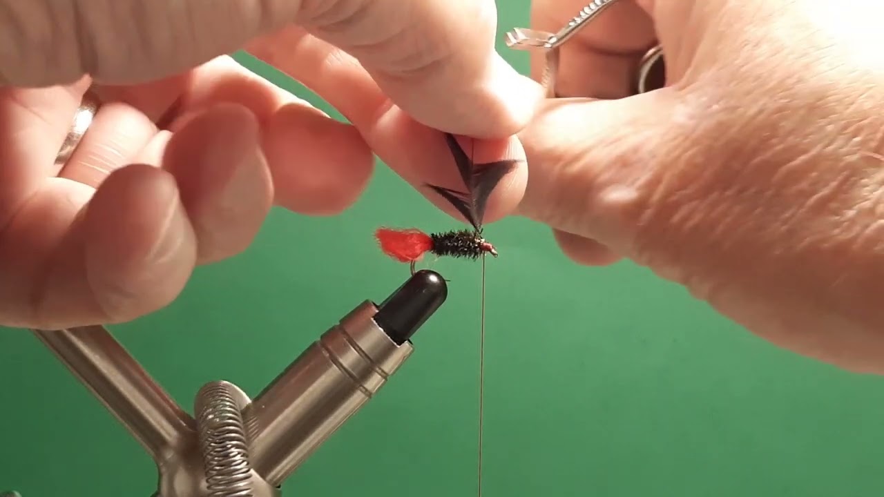 One Fly A Day - Bradshaw's Fancy