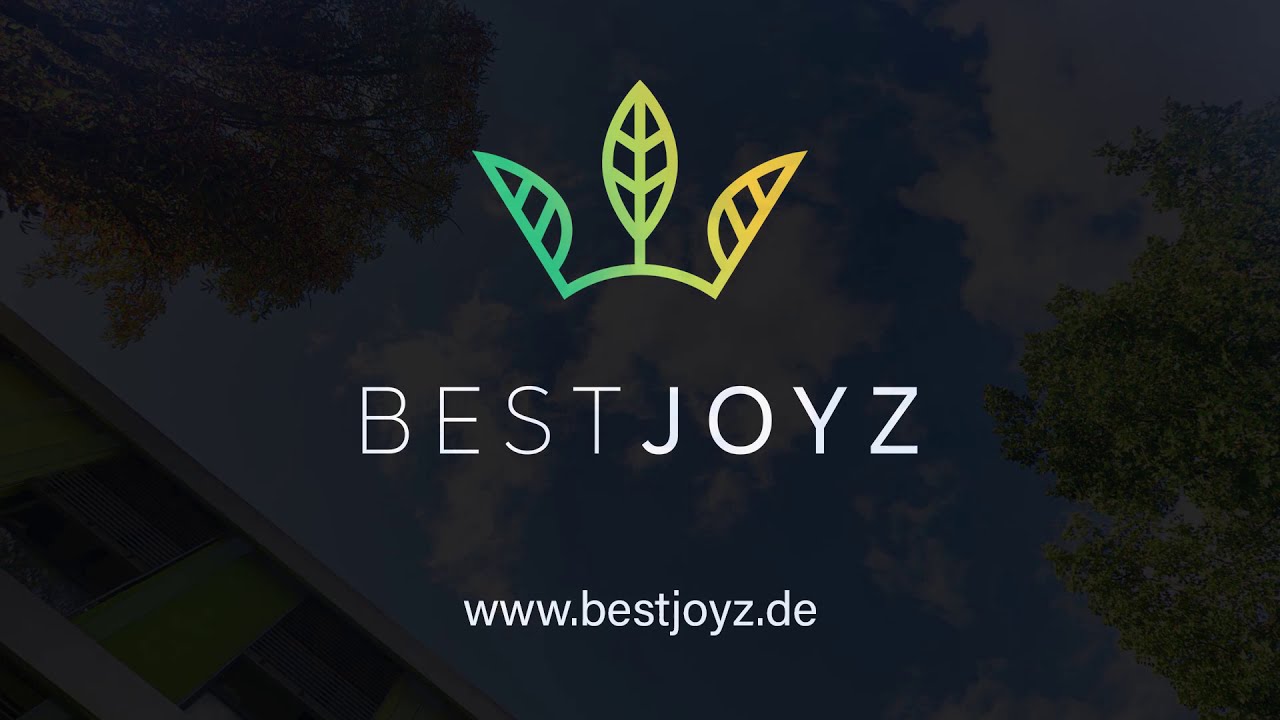 BestJoyz Emotionvideo Worms von Positiv 3 aus einer VR Tour.