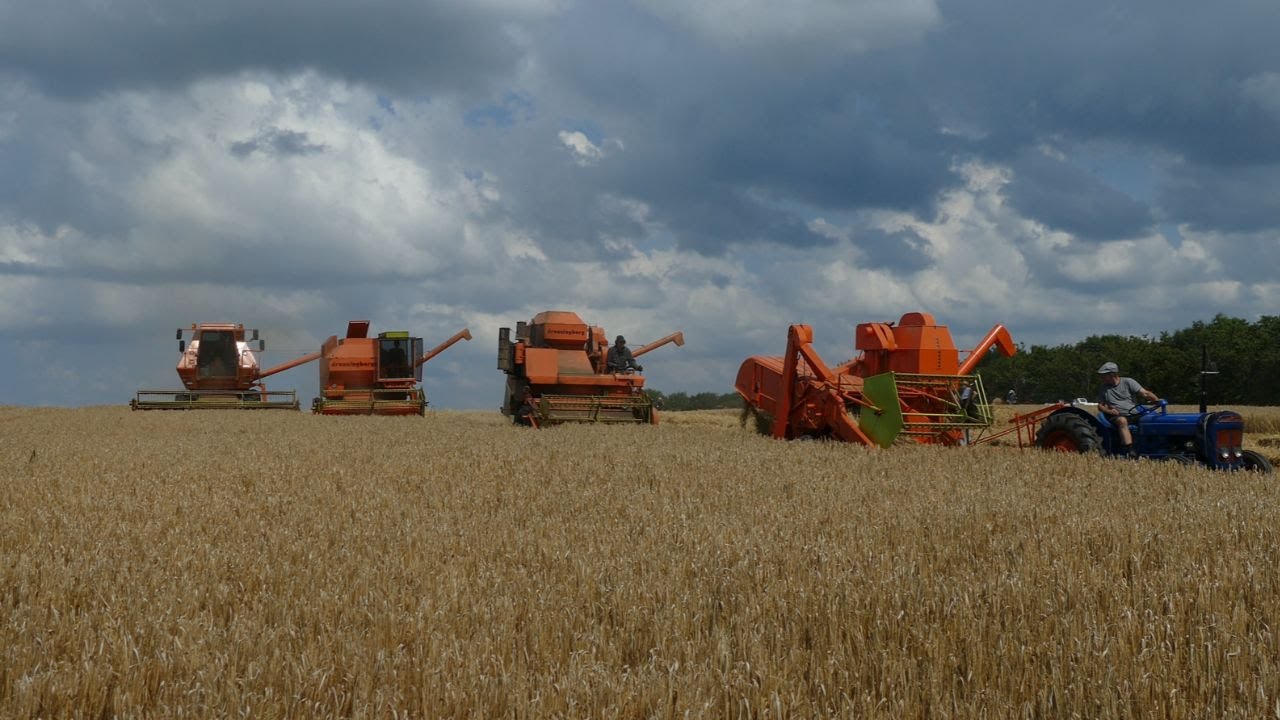 Vintage Harvest Day 2025 - Rebild Veterantraktor
