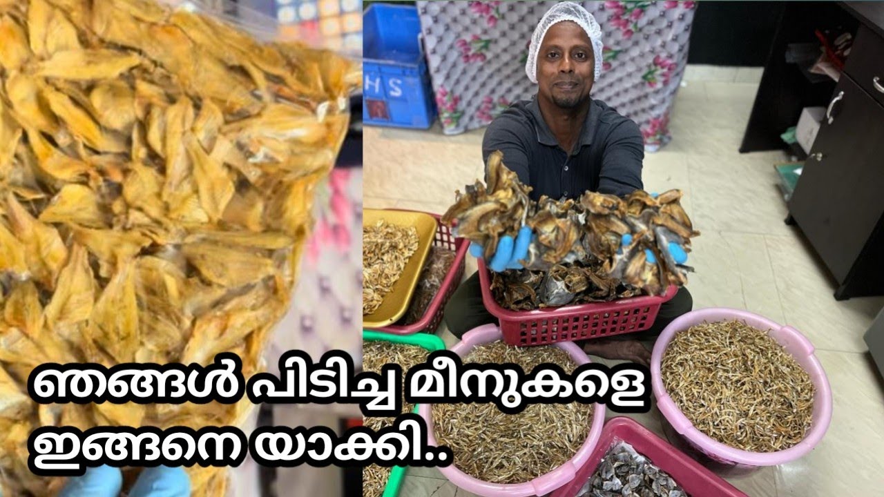 ഇങ്ങനത്തെ മീനുകൾ കിട്ടിയിട്ടുണ്ടോ.../dry fish making