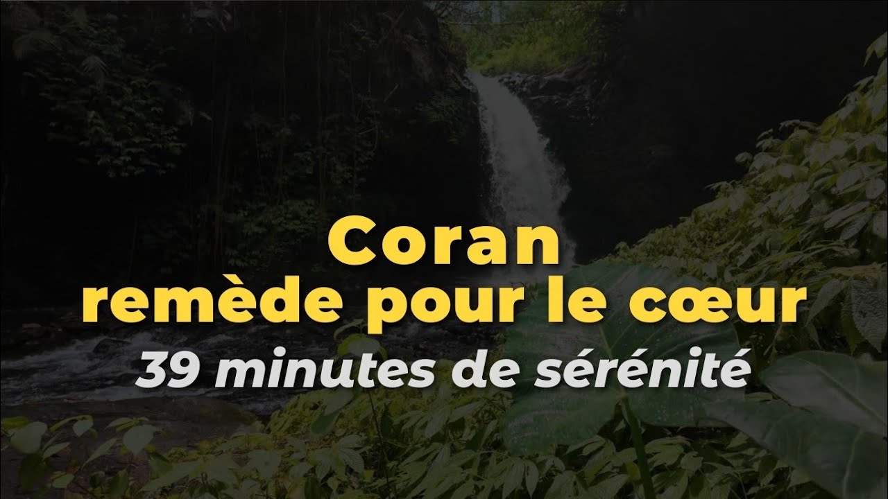 Coran — un remède pour le cœur | 39 minutes de sérénité #coran #paix #apaisement