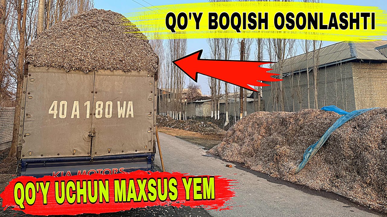 ☎️93-643-22-00 CHORVADORLAR UCHUN YANGILIK QO'Y MOLAR UCHUN YEM NARXLARI.