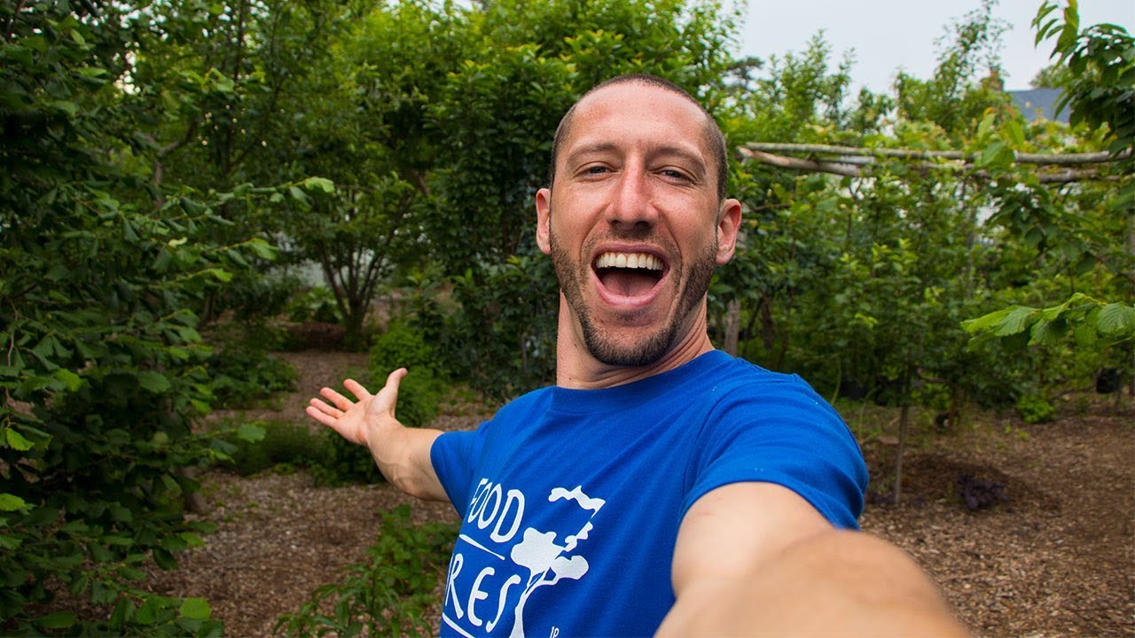 FULL GARDEN TOUR, 3 FOOD FORESTS ON ONE SUBURBAN LOT!