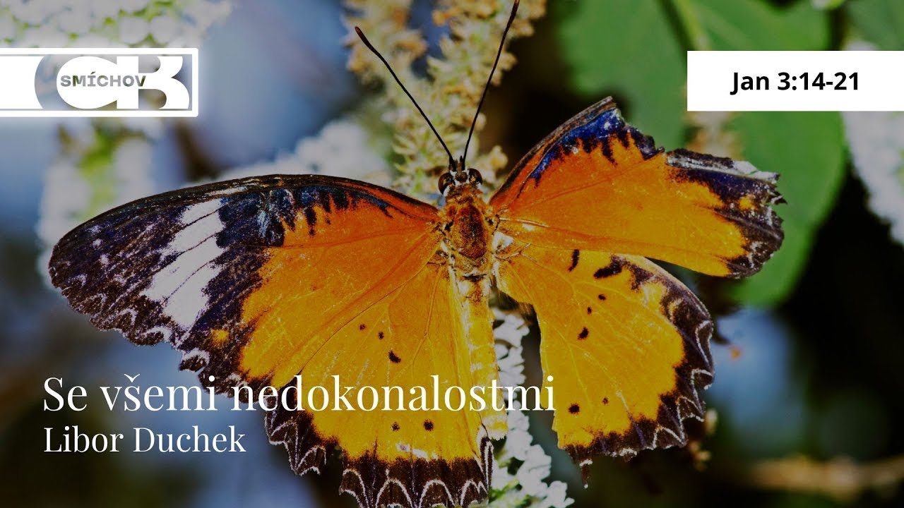 Se všemi nedokonalostmi – Libor Duchek