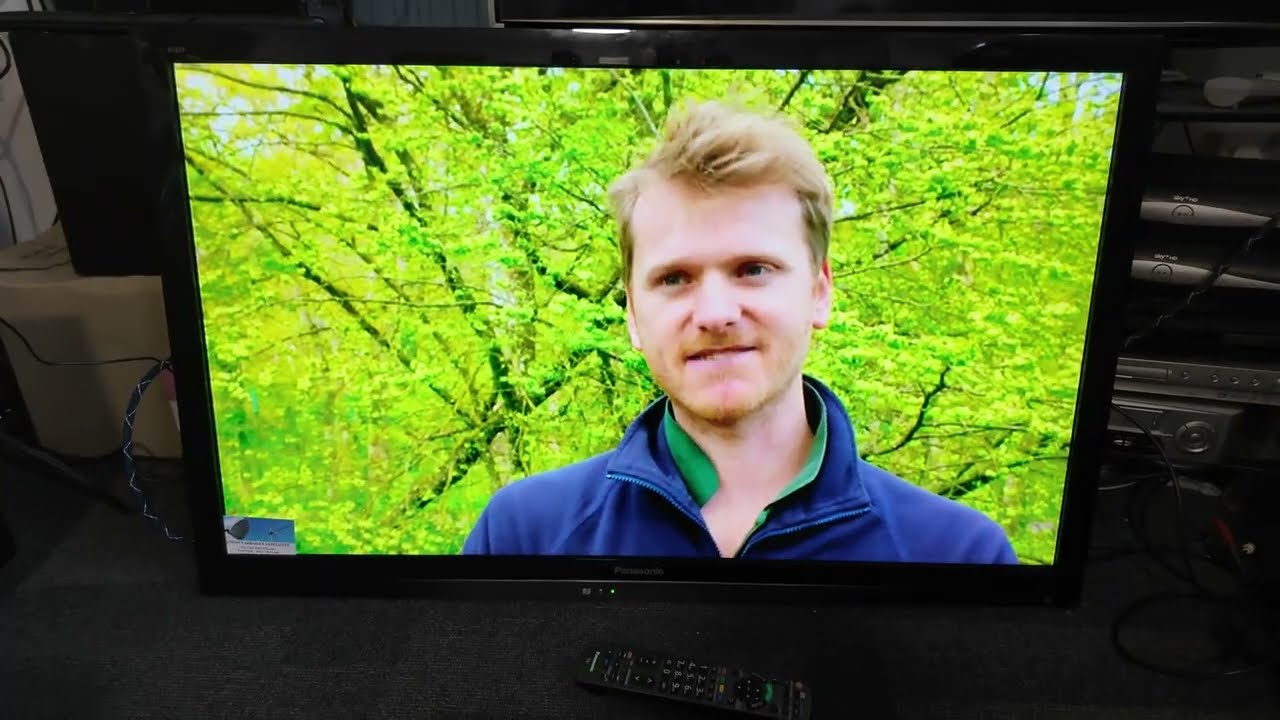 Look At A working Panasonic TX-L42E3B 42 Inch Freeview HD Edge LED TV 1080P TV HDMI but no stand