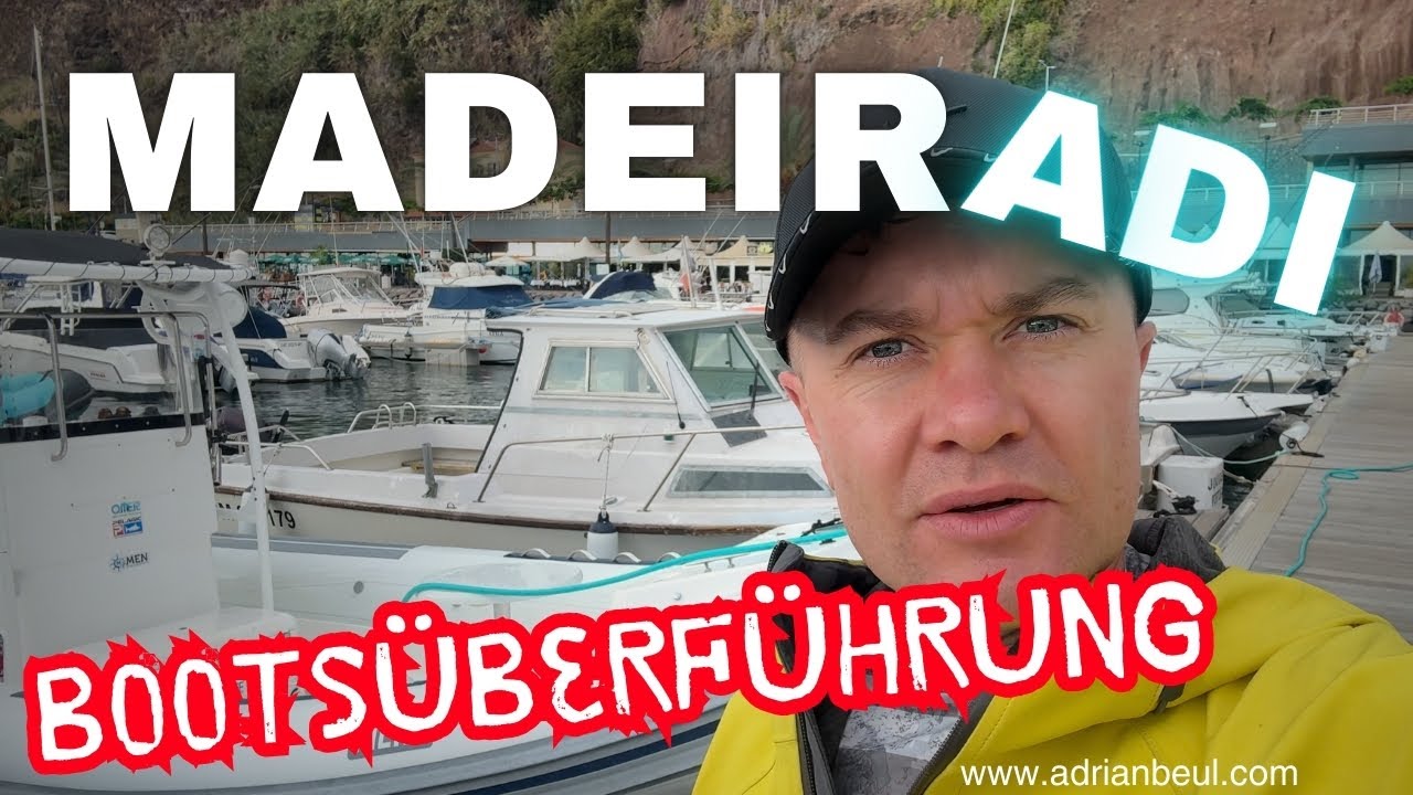 HAIE auf Madeira! 😱 Exklusive Einblicke in den Hafen von Canical - Adi Vlog #116