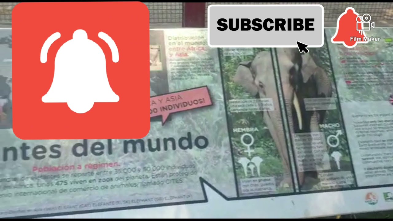 ZOO.DE.MADRID. ESPA&Ntilde;A- NEW.2021
