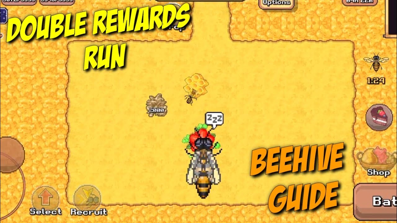BEEHIVE DOUBLE RUN & BEGINNERS GUIDE | POCKET ANTS