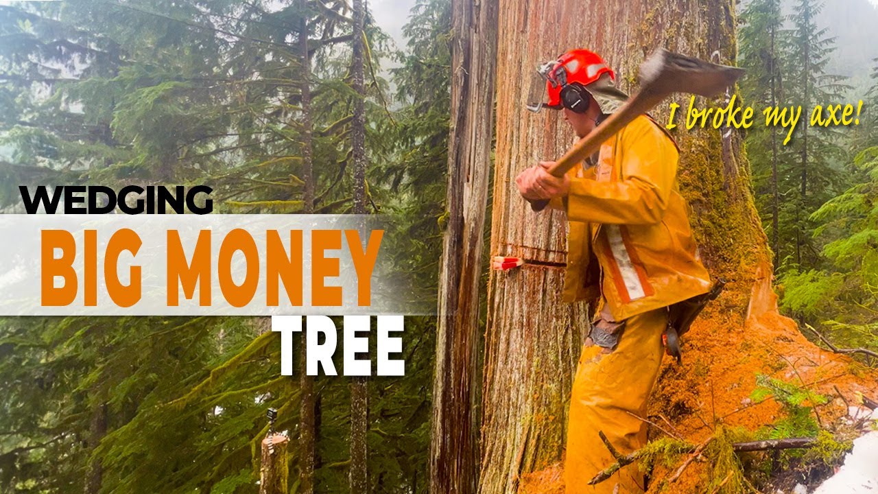 50. Breaking My Axe In A Wedge-athon | High-Grade Cedar