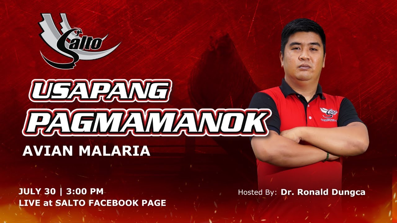 Usapang Pagmamanok: Avian Malaria
