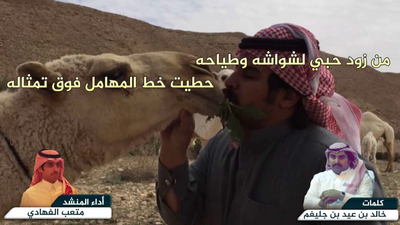 كلمات خالد بن عيد بن جليغم اداء متعب الفهادي  صيف الجنوب ٢٠١٧  والربيع  جديد حصري