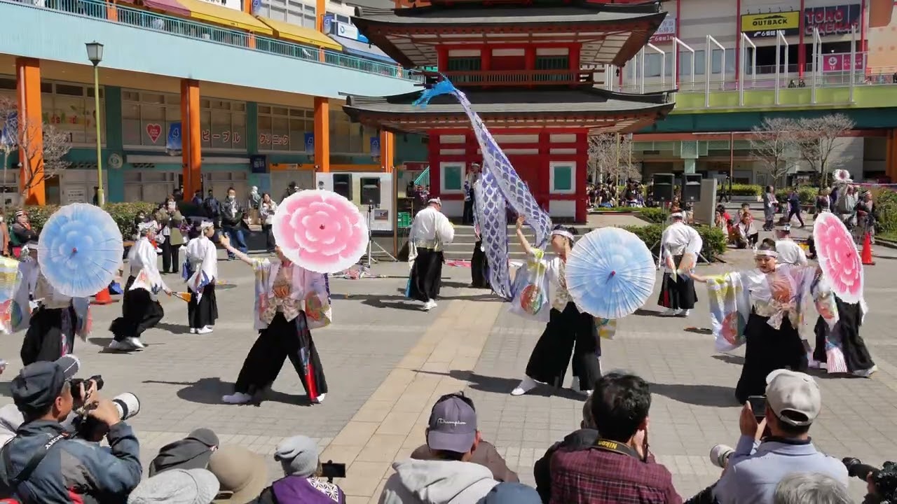 美na☆舞ty！（Ebinaよさこい2026・「快晴吉日」・七重の塔前その一）