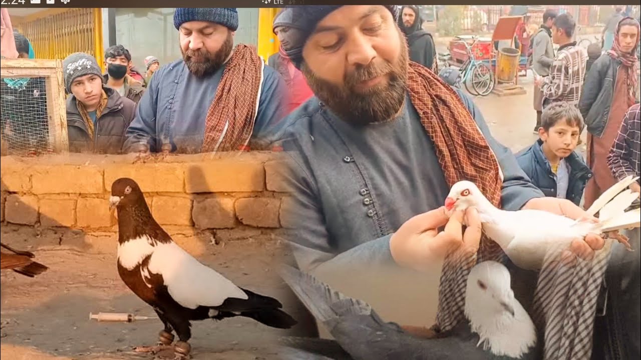 جمعه بازار در جالاباد