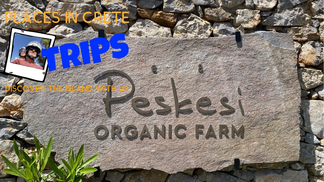 Trip to the organic farm 
