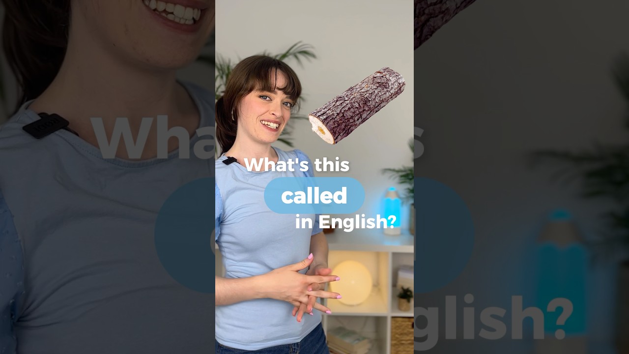 Parts of a tree in English 🌳