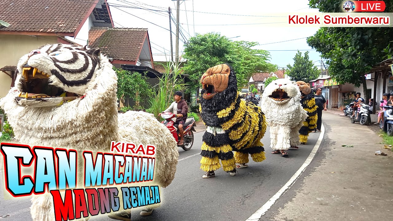 KIRAB CAN MACANAN MAONG TEENAGERS LIVE KLOLEK SUMBERWARU
