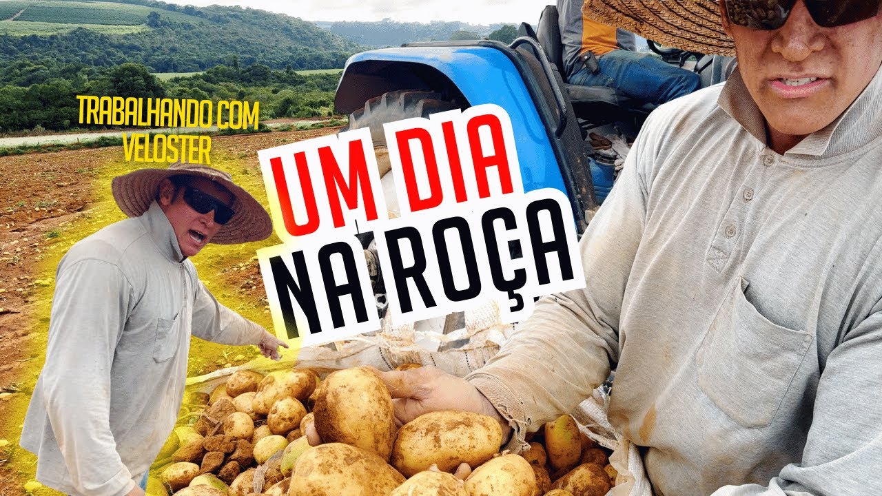VELOSTER EM UM DIA NA ROÇA